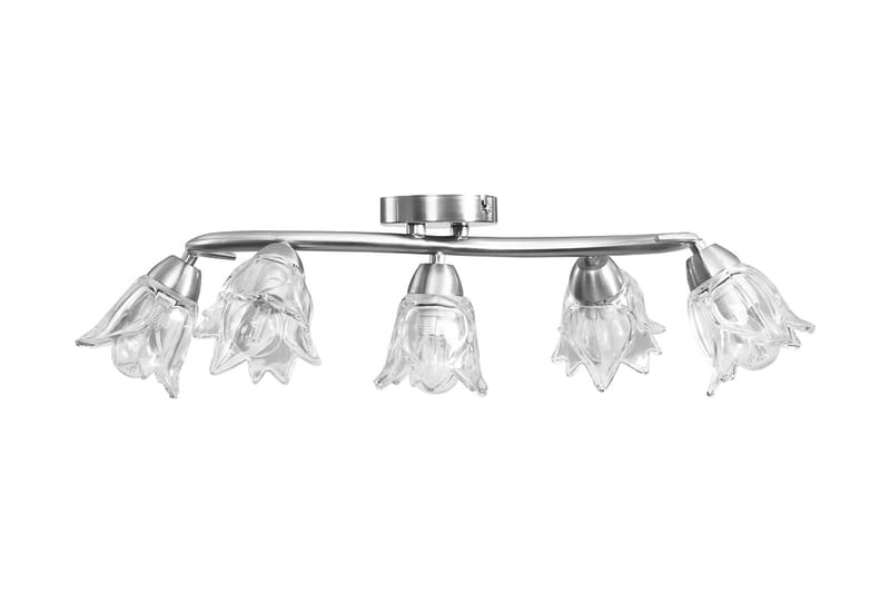 Taklampe gjennomsiktige glasskjermer for 5 E14 lyspærer - Plafond - Takplafond - Lamper gang - Taklampe