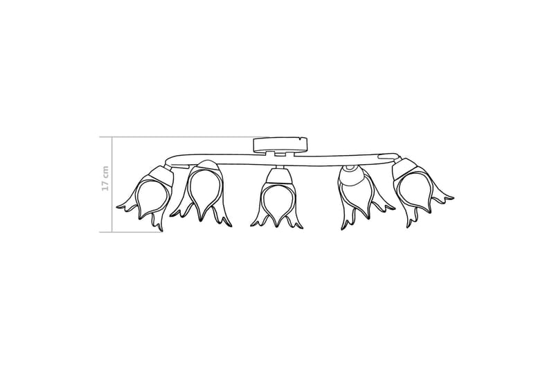 Taklampe gjennomsiktige glasskjermer for 5 E14 lyspærer - Plafond - Takplafond - Lamper gang - Taklampe