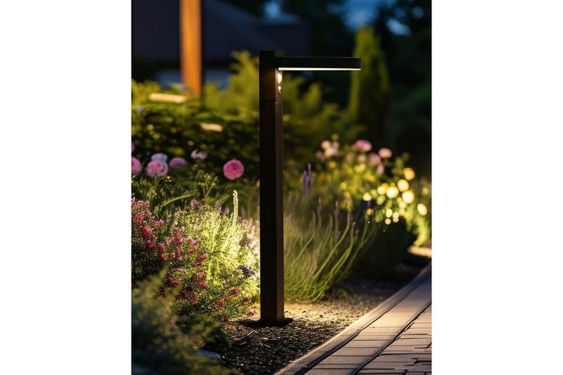 Hydra LED Solcellebelysning 50 cm - Svart - Belysning - Utendørsbelysning - Solcellebelysning