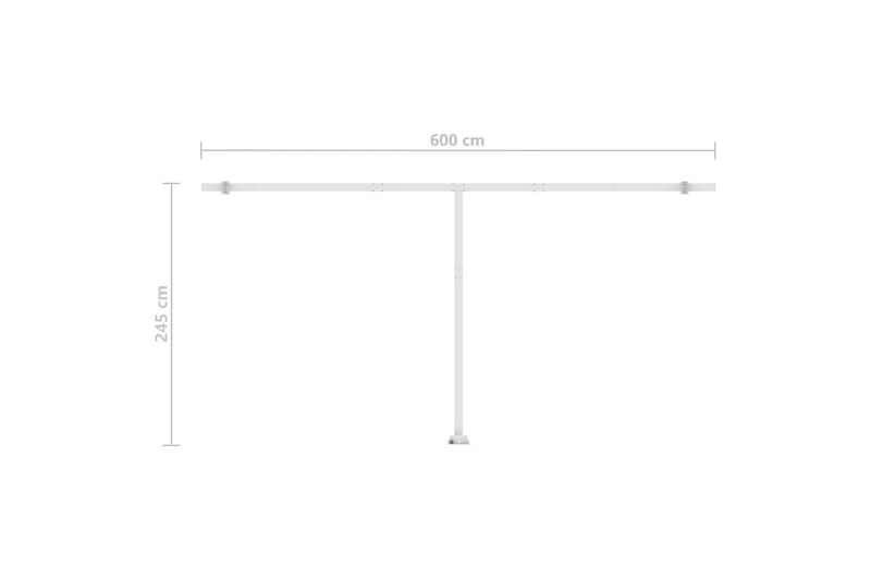 Frittstående automatisk markise 600x300 cm antrasitt - Antrasittgrå - Hagemøbler & utemiljø - Solbeskyttelse - Markiser