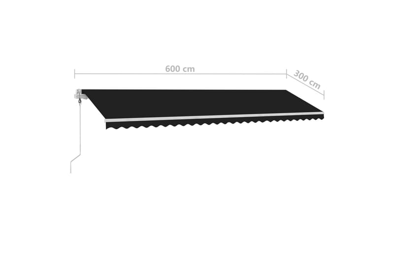 Frittstående automatisk markise 600x300 cm antrasitt - Antrasittgrå - Hagemøbler & utemiljø - Solbeskyttelse - Markiser