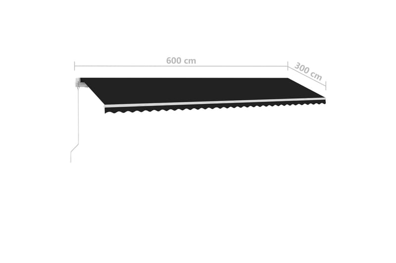 Frittstående manuell uttrekkbar markise 600x300 cm antrasitt - Antrasittgrå - Hagemøbler & utemiljø - Solbeskyttelse - Markiser