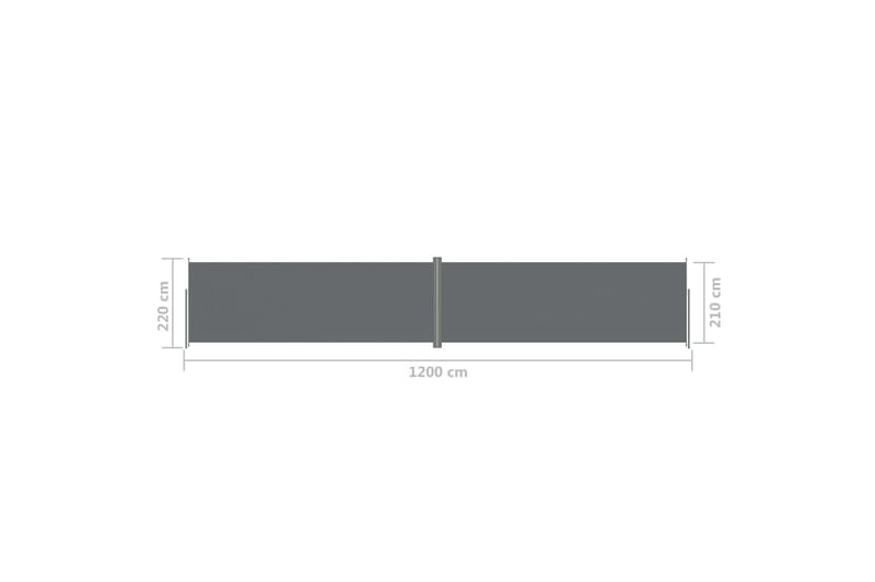 Uttrekkbar sidemarkise 220x1200 cm antrasitt - Antrasittgrå - Hagemøbler & utemiljø - Solbeskyttelse - Markiser - Sidemarkise