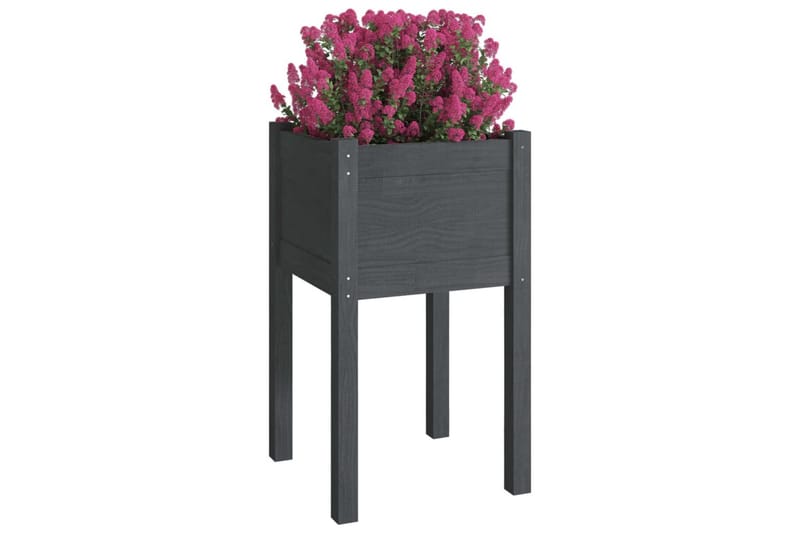 Plantekasser 2 stk 40x40x70 cm heltre furu grå - Grå - Interiør - Dekorasjon & innredningsdetaljer - Krukker - Utepotter