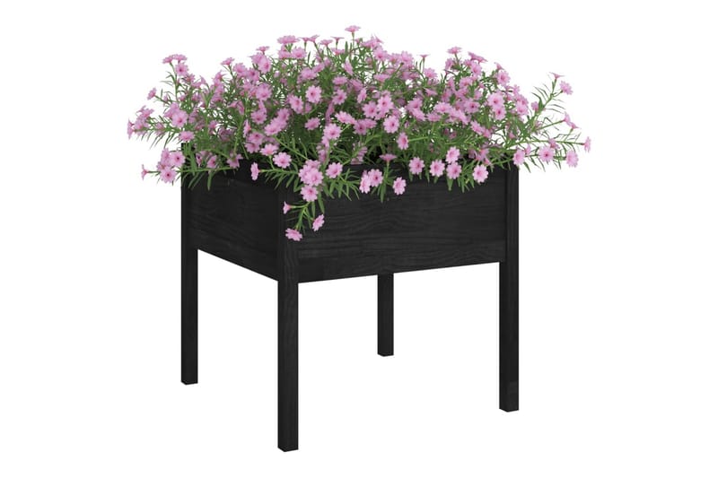 Plantekasser 2 stk svart 70x70x70 heltre furu - Svart - Utepotter - Blomsterkasser