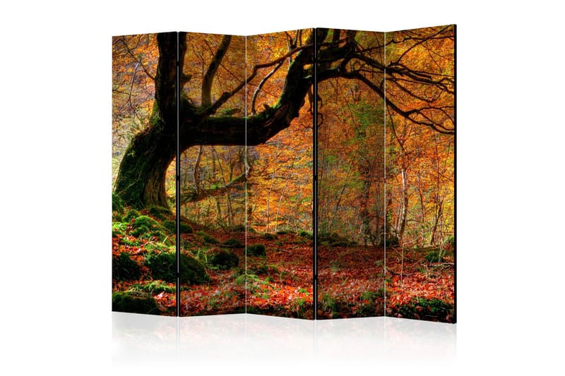 Romdeler - Autumn forest and leaves II 225x172 - Artgeist sp. z o. o. - Interiør - Dekorasjon & innredningsdetaljer - Romdelere