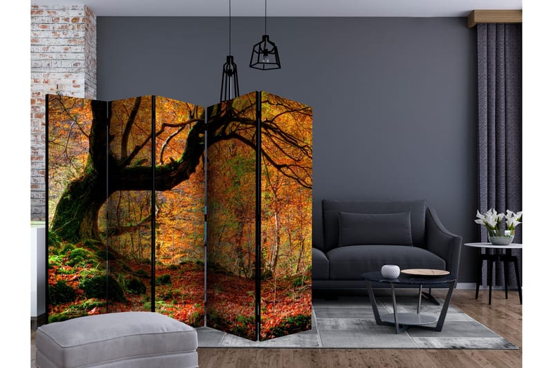 Romdeler - Autumn forest and leaves II 225x172 - Artgeist sp. z o. o. - Interiør - Dekorasjon & innredningsdetaljer - Romdelere