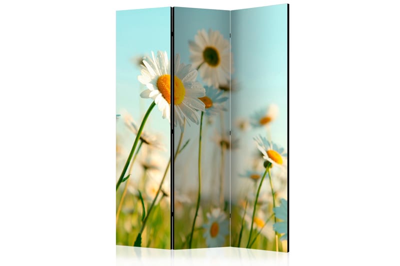 Romdeler - Daisies - spring meadow 135x172 - Artgeist sp. z o. o. - Interiør - Dekorasjon & innredningsdetaljer - Romdelere