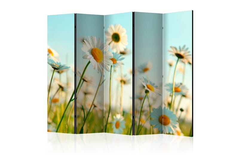 Romdeler - Daisies - spring meadow II 225x172 - Artgeist sp. z o. o. - Interiør - Dekorasjon & innredningsdetaljer - Romdelere