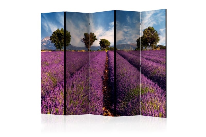 Romdeler Lavender Field in Provence, France II - Artgeist sp. z o. o. - Interiør - Dekorasjon & innredningsdetaljer - Romdelere