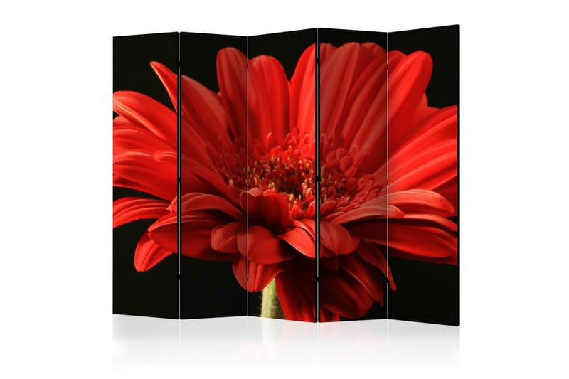 Romdeler - Red gerbera flower II 225x172 - Artgeist sp. z o. o. - Interiør - Dekorasjon & innredningsdetaljer - Romdelere