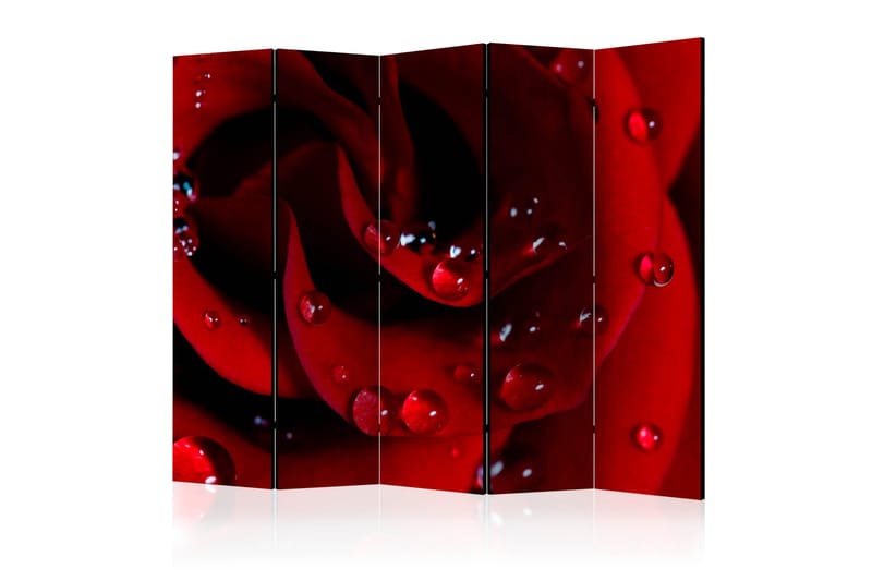 Romdeler - Red rose with water drops II 225x172 - Artgeist sp. z o. o. - Interiør - Dekorasjon & innredningsdetaljer - Romdelere