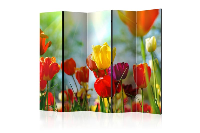 Romdeler Spring Tulips II 222x517 cm - Artgeist sp. z o. o. - Interiør - Dekorasjon & innredningsdetaljer - Romdelere