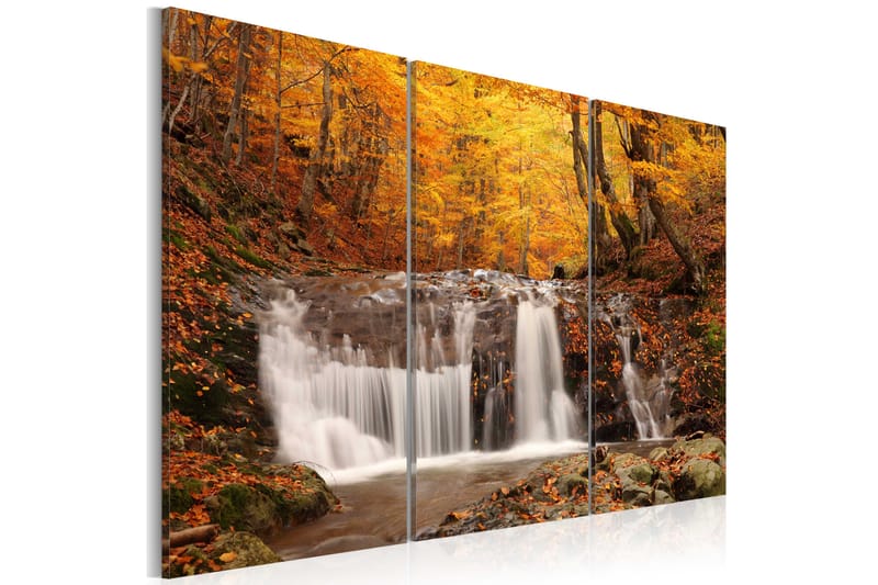 Bilde A waterfall in the middle of fall trees 90x60 - Artgeist sp. z o. o. - Interiør - Maleri & posters - Lerretsbilder