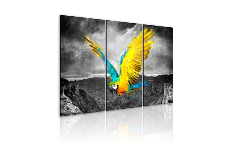 Bilde Bird-of-paradise 90x60 - Artgeist sp. z o. o. - Interiør - Maleri & posters - Lerretsbilder