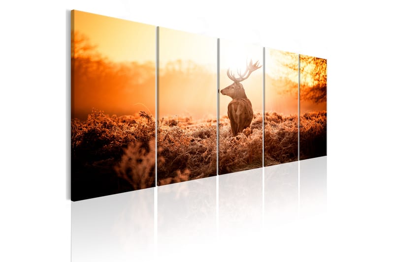 Bilde Deer At Sunset 200x80 - Artgeist sp. z o. o. - Interiør - Maleri & posters - Lerretsbilder