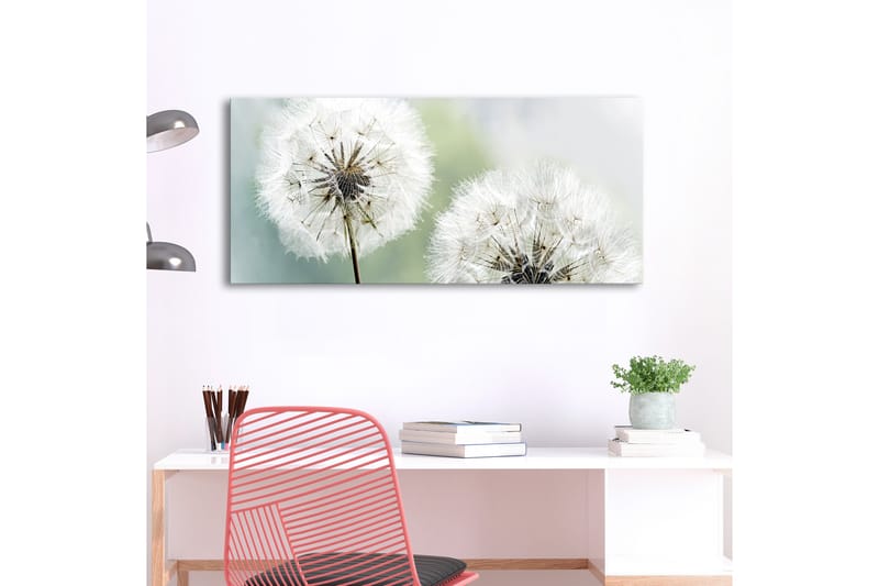 Bilde Fluffy Dandelions 100x45 - Artgeist sp. z o. o. - Interiør - Maleri & posters - Lerretsbilder