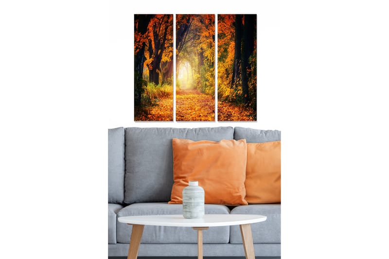 Bilde Scenic 3-pk Flerfarget - 22x05 cm - Interiør - Maleri & posters - Lerretsbilder