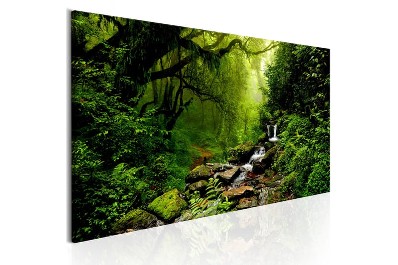 Bilde The Fairytale Forest 150x50 - Artgeist sp. z o. o. - Lerretsbilder