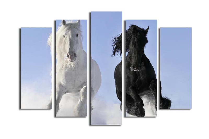 Canvasbilde 5-pk flerfarget - 11x96 cm - Interiør - Maleri & posters - Lerretsbilder