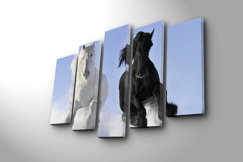 Canvasbilde 5-pk flerfarget - 11x96 cm - Interiør - Maleri & posters - Lerretsbilder