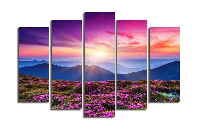 Canvasbilde 5-pk flerfarget - 11x96 cm - Interiør - Maleri & posters - Lerretsbilder