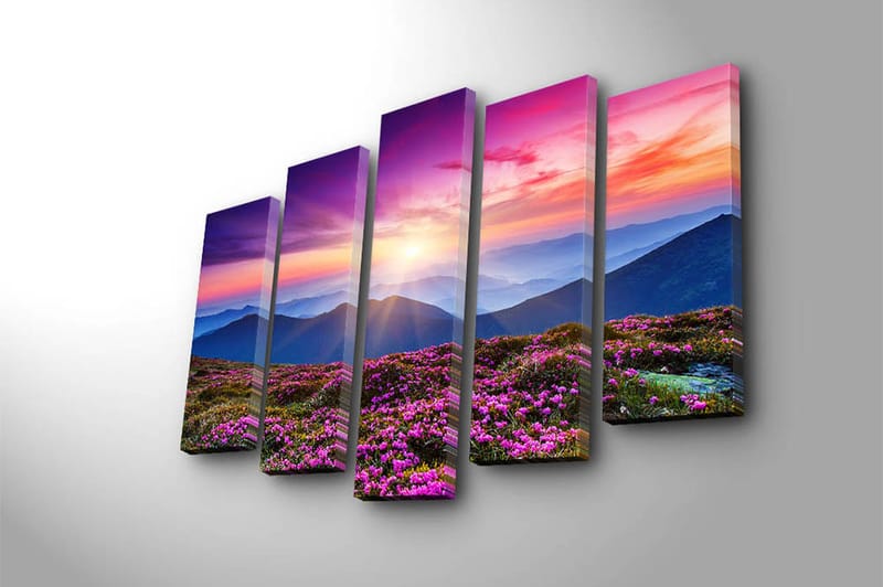 Canvasbilde 5-pk flerfarget - 11x96 cm - Interiør - Maleri & posters - Lerretsbilder