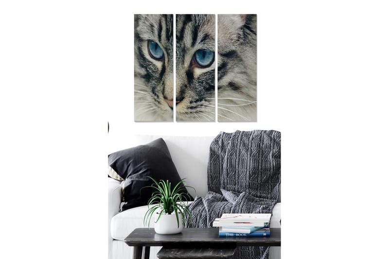 Canvasbilde Animal 3-pk flerfarget - 22x05 cm - Interiør - Maleri & posters - Lerretsbilder