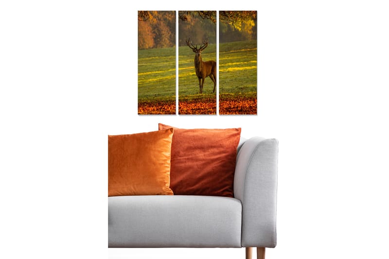 Canvasbilde Animal 3-pk flerfarget - 22x05 cm - Interiør - Maleri & posters - Lerretsbilder