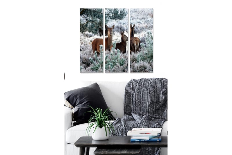 Canvasbilde Animal 3-pk flerfarget - 22x05 cm - Interiør - Maleri & posters - Lerretsbilder