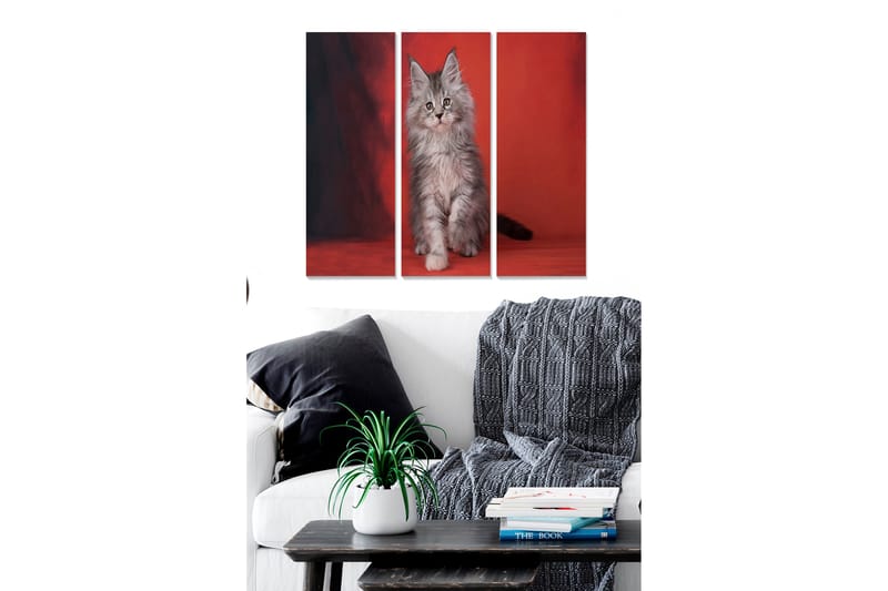 Canvasbilde Animal 3-pk flerfarget - 22x05 cm - Interiør - Maleri & posters - Lerretsbilder