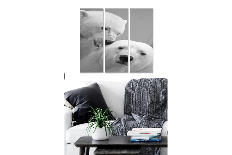 Canvasbilde Animal 3-pk flerfarget - 22x05 cm - Interiør - Maleri & posters - Lerretsbilder