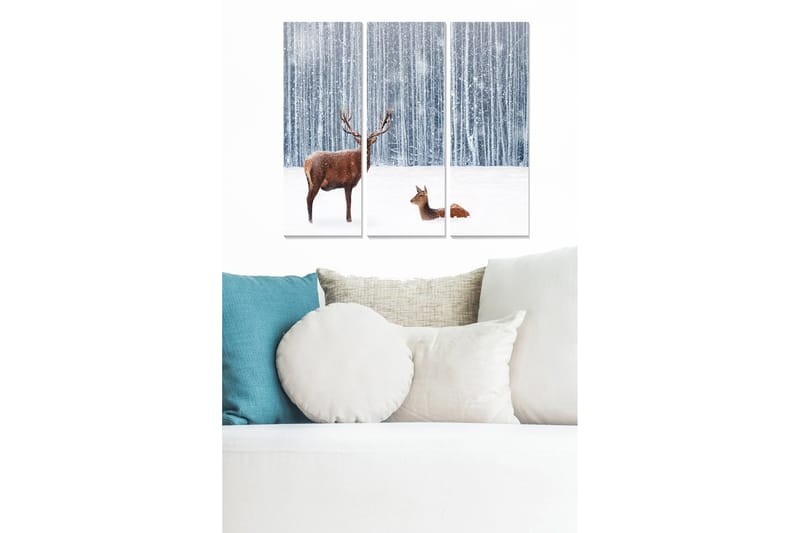 Canvasbilde Animal 3-pk flerfarget - 22x05 cm - Interiør - Maleri & posters - Lerretsbilder