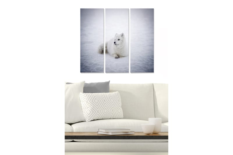 Canvasbilde Animal 3-pk flerfarget - 22x05 cm - Interiør - Maleri & posters - Lerretsbilder