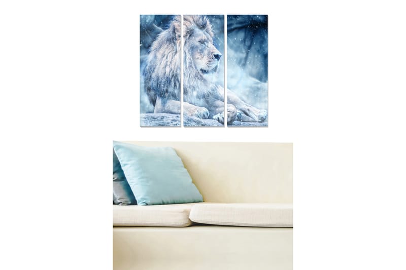 Canvasbilde Animal 3-pk flerfarget - 22x05 cm - Interiør - Maleri & posters - Lerretsbilder