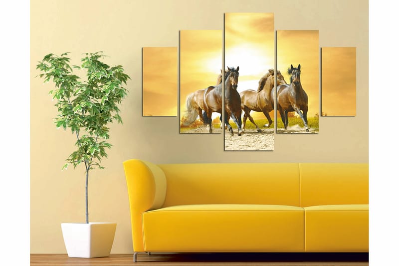 Canvasbilde Animals 5-pk Flerfarget - 55x62 cm - Interiør - Maleri & posters - Lerretsbilder