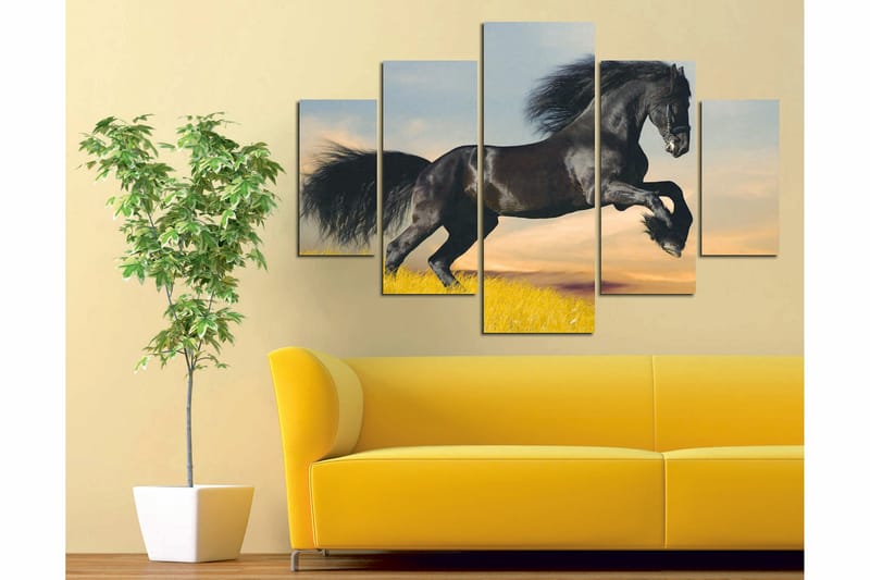 Canvasbilde Animals 5-pk Flerfarget - 55x62 cm - Interiør - Maleri & posters - Lerretsbilder