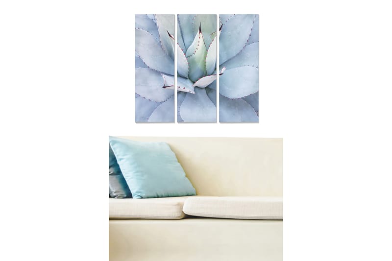 Canvasbilde Floral 3-pk flerfarget - 22x05 cm - Interiør - Maleri & posters - Lerretsbilder