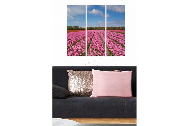 Canvasbilde Floral 3-pk flerfarget - 22x05 cm - Interiør - Maleri & posters - Lerretsbilder