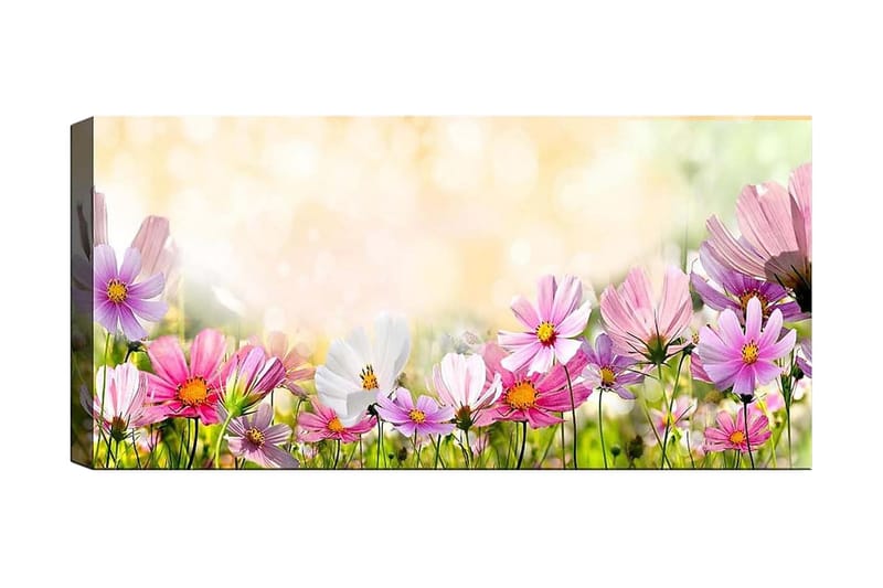 Canvasbilde YTY Floral & Botanical Flerfarget - 120x50 cm - Interiør - Maleri & posters - Lerretsbilder