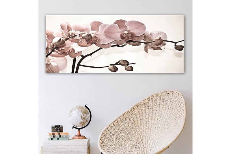 Canvasbilde YTY Floral & Botanical Flerfarget - 120x50 cm - Interiør - Maleri & posters - Lerretsbilder