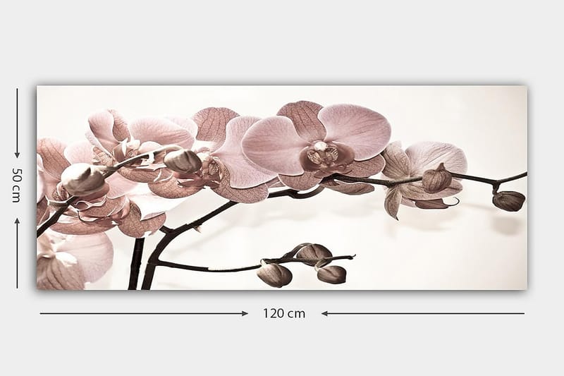 Canvasbilde YTY Floral & Botanical Flerfarget - 120x50 cm - Interiør - Maleri & posters - Lerretsbilder