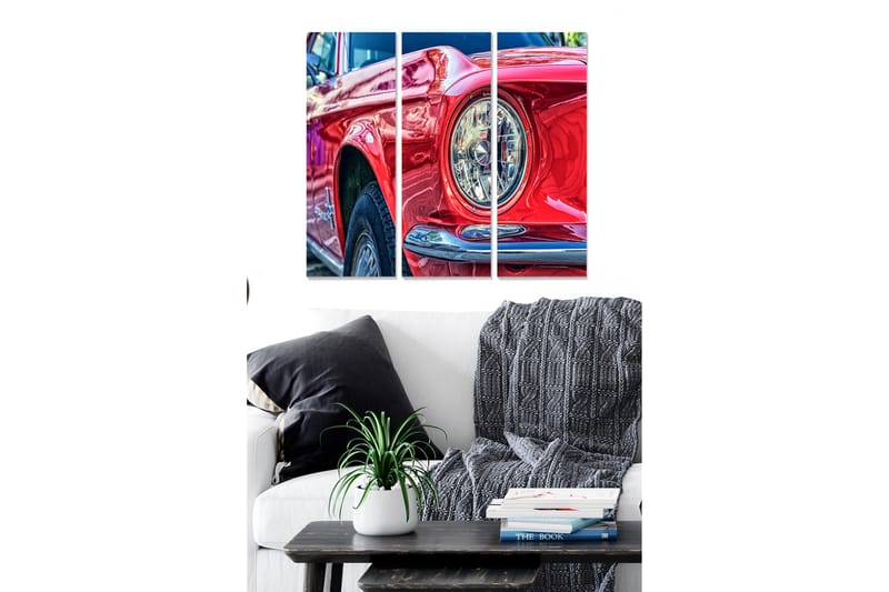 Canvastbilde Vehicle 3-pk Flerfarget - 22x05 cm - Interiør - Maleri & posters - Lerretsbilder