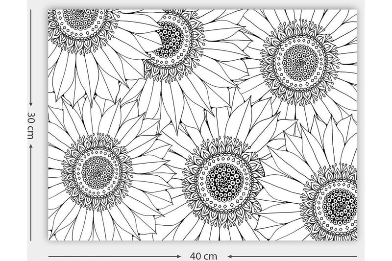 Dekorativ Canvasbilde 30x40 cm - Hvit|Svart - Interiør - Maleri & posters - Lerretsbilder
