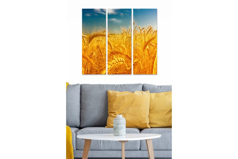 Dekorativ MDF-maling 3-Deler 20x50 cm - Flerfarget - Interiør - Maleri & posters - Lerretsbilder