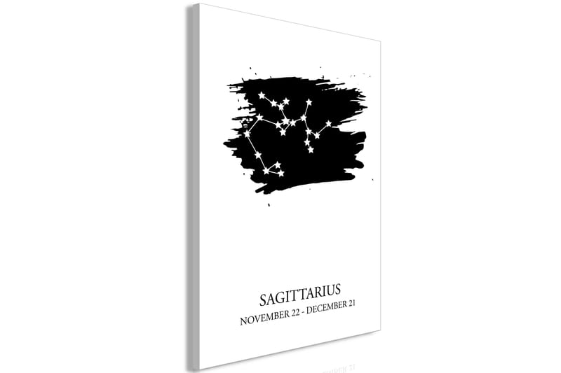 Tavle Zodiac Signs: Sagittarius (1 Part) Vertical 60X90 - Artgeist sp. z o. o. - Interiør - Maleri & posters - Lerretsbilder