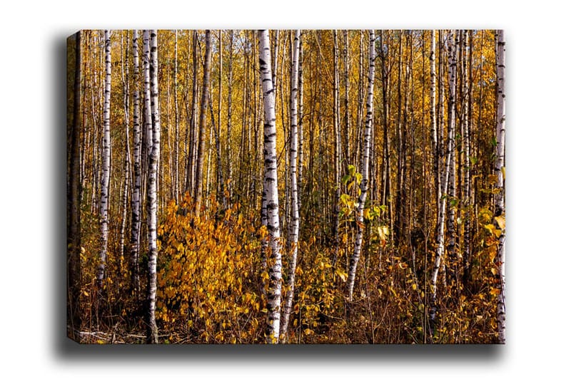 Veggdekorasjon Canvas Bilde - Interiør - Maleri & posters - Lerretsbilder