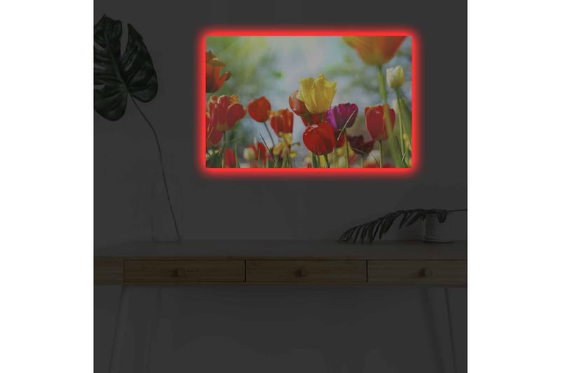 Veggdekorasjon LED-belysning Canvas Bilde - Interiør - Maleri & posters - Lerretsbilder