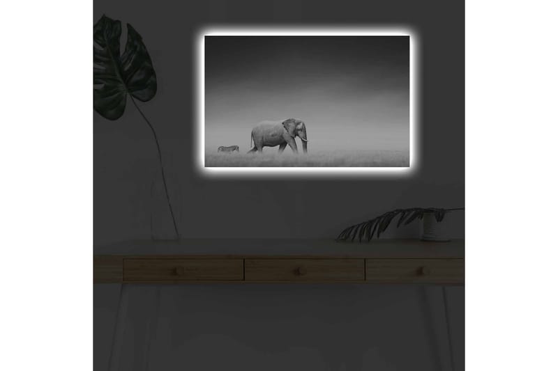 Veggdekorasjon LED-belysning Canvas Bilde - Interiør - Maleri & posters - Lerretsbilder