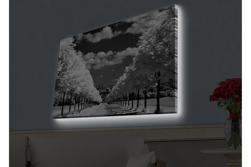 Veggdekorasjon LED-belysning Canvas Bilde - Interiør - Maleri & posters - Lerretsbilder